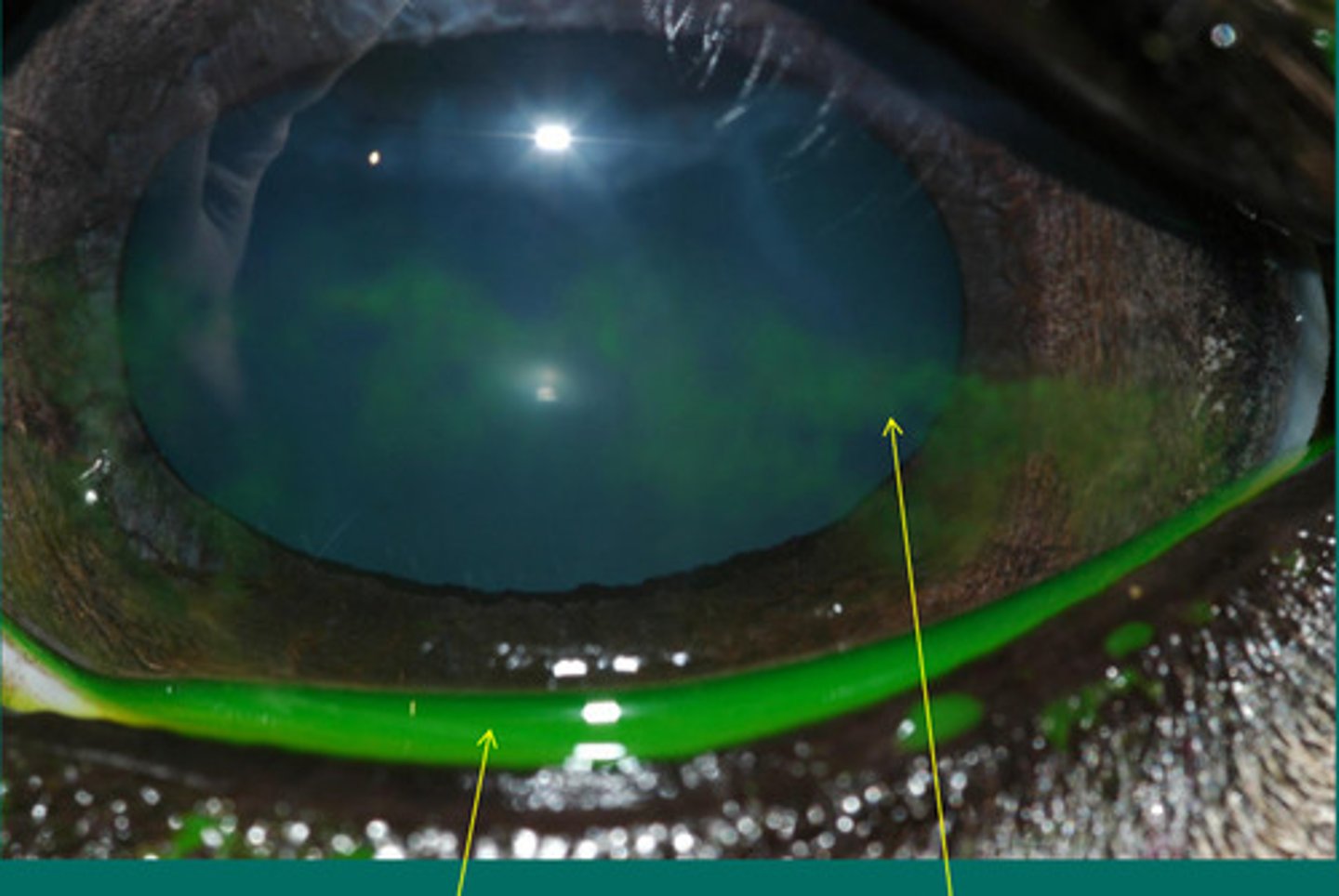 <p>Describe what you are seeing?</p>