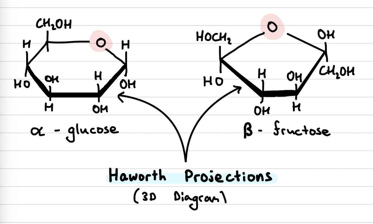 <p>3D Diagrams</p>