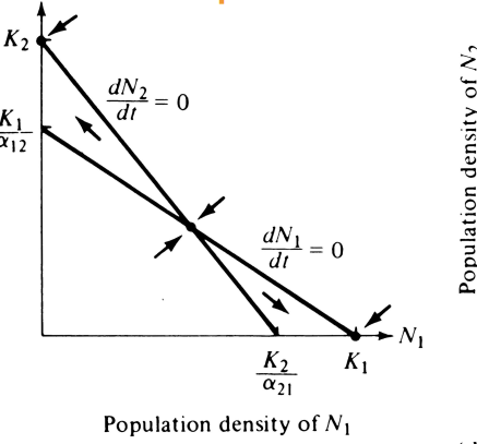 <p>What is the outcome of this phase plot?</p>