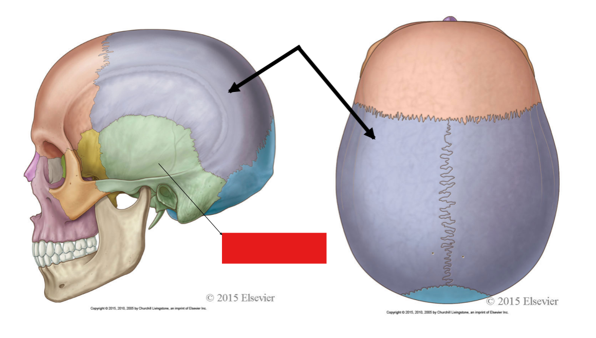 <p>Fill in the red box:</p>