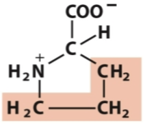<p>Nonpolar, aliphatic</p>
