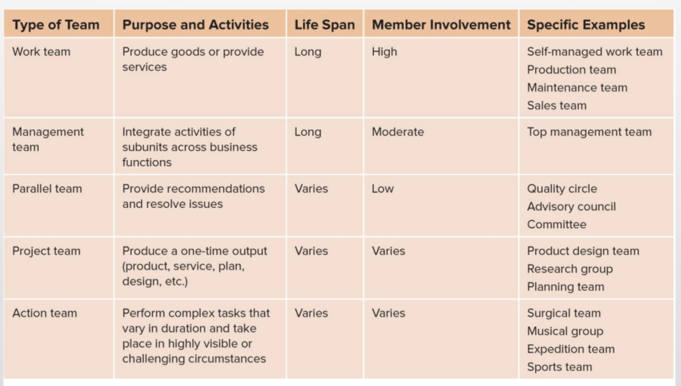 <ul><li><p>Work teams&nbsp;— relatively permanent teams in which members work together to produce goods or provide services&nbsp;</p><ul><li><p>production teams members work together to assemble vehicles</p></li></ul></li><li><p>management teams — relatively permanent teams that participate in managerial-level tasks that affect the entire organization</p></li><li><p>parallel teams —teams composed of members from various jobs within the org that meet to provide recommendations about important issues that run parallel to the org’s production process</p></li><li><p>project teams — teams formed to take on one-time tasks, most of which tend to be complex and require input from members from different functional areas</p></li><li><p>action teams —teams of limited duration that perform complex tasks in contexts that tend to be highly visible and challenging</p><ul><li><p>a team of nurses and surgeons work together to complete a surgery, etc</p></li></ul></li></ul><p></p>