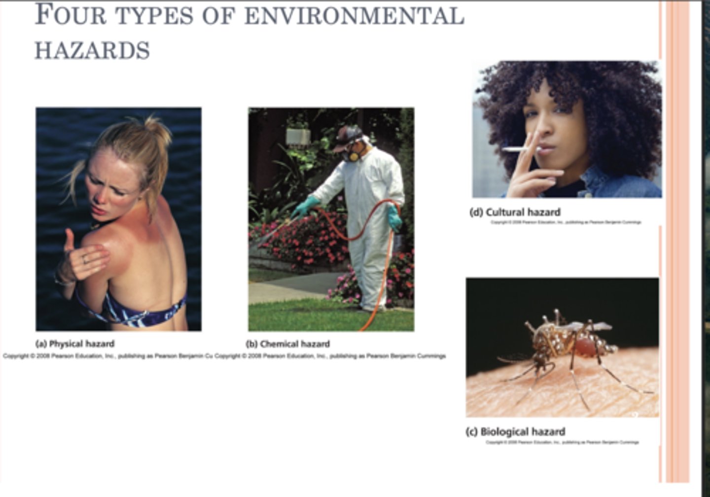 <p>1. Physical Hazards</p><p>2. Chemical Hazards</p><p>3. Biological Hazards</p><p>d. Cultural Hazards</p>