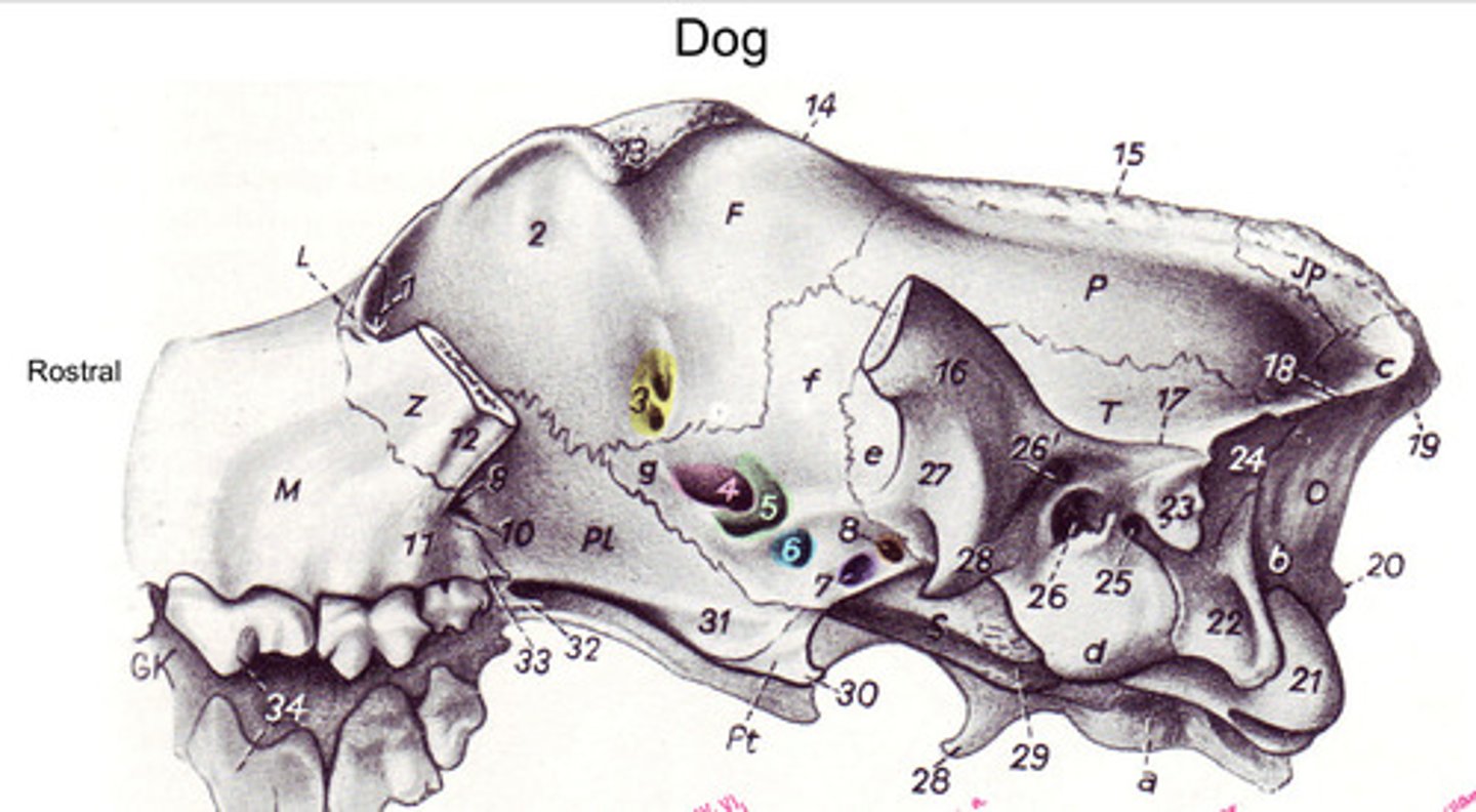 <p>What is yellow/3?</p>