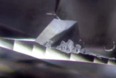 <p>What blemish is this?</p>
