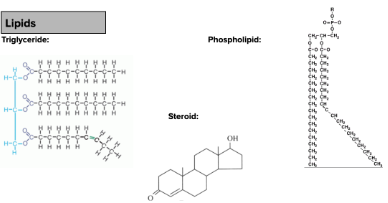 <p>Contains: Carbon, Hydrogen and Oxygen. Defining feature: It contains more Carbon than Oxygen. Typically also has long chains.</p><p>Monomer: Fatty acids (and glycerol) </p>