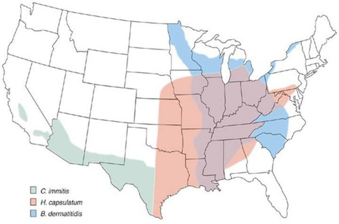 <p>fungi prevalent in soil throughout certain geographic locations that are capable of causing infection in healthy hosts</p>