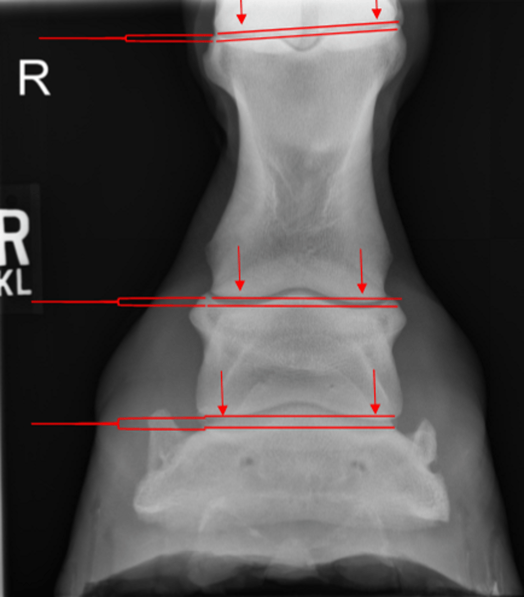 <p>What measurement is this?</p>