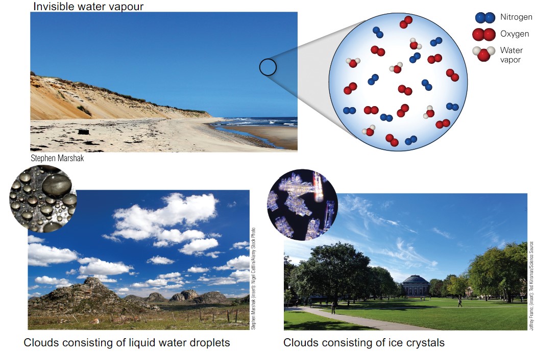 <ul><li><p>invisible water vapour</p></li><li><p>clouds consisting of liquid water droplets</p></li><li><p>clouds consisting of ice crystals</p></li></ul>