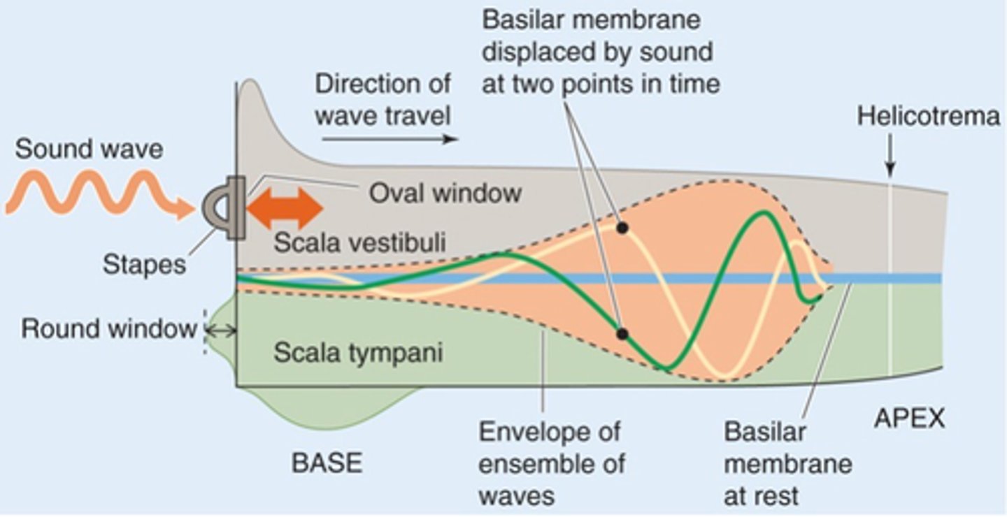 <p>What does the blue line represent?</p>