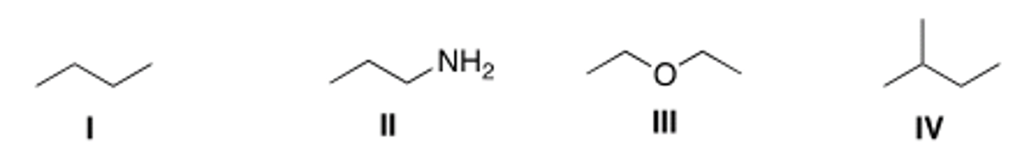<p>B</p>
