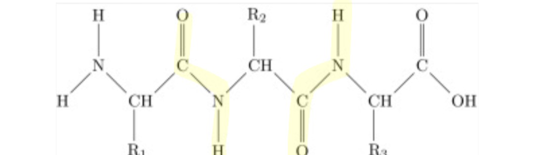 <p>Includes the C=O and N-H</p>