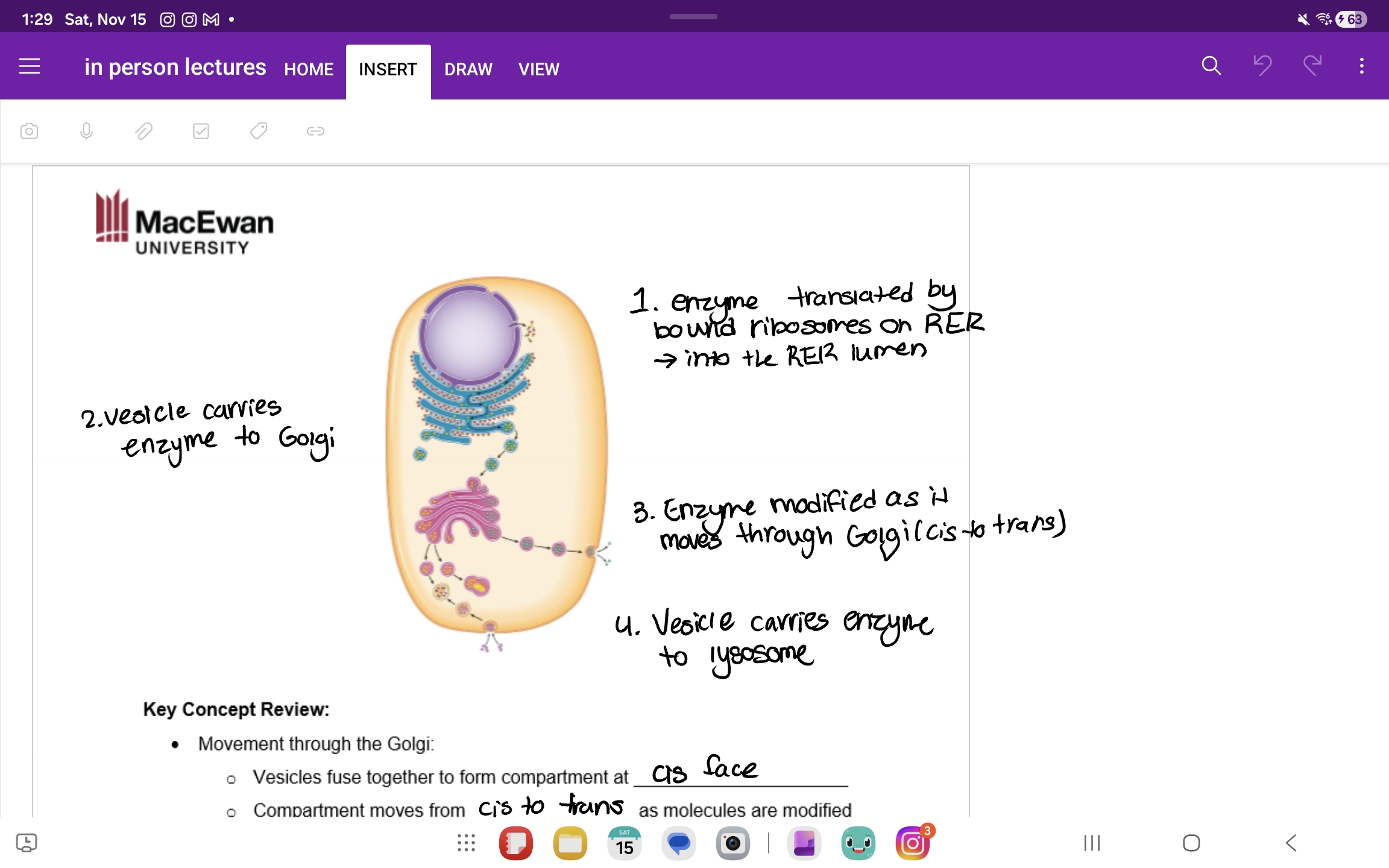 knowt flashcard image