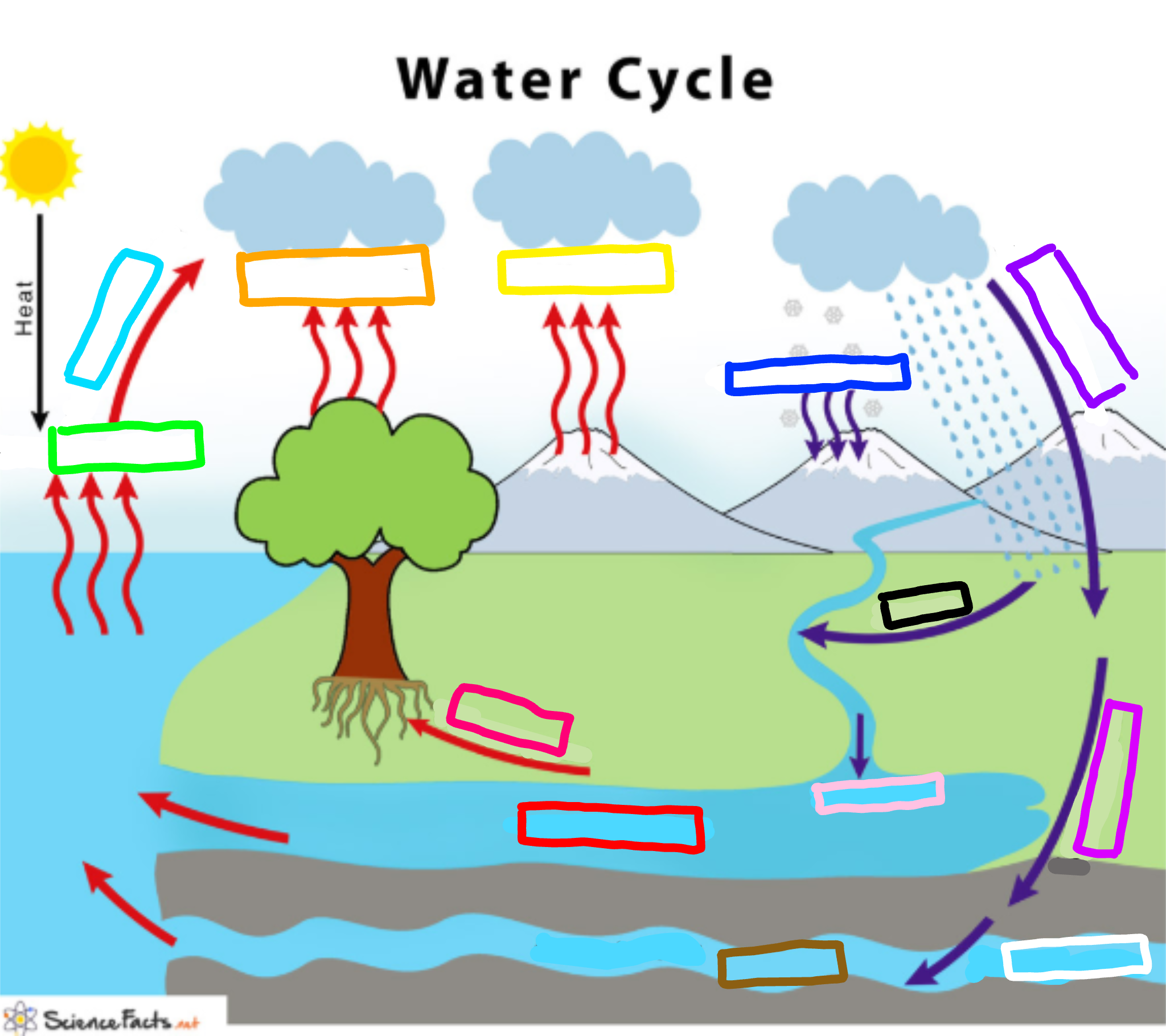 <p>What is represented by the yellow box? </p>