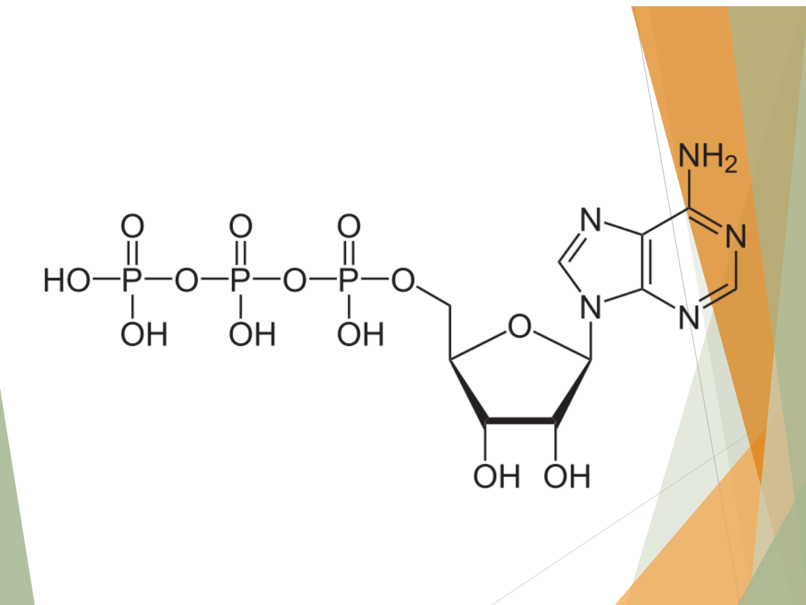 <p>what molecule is this?</p>