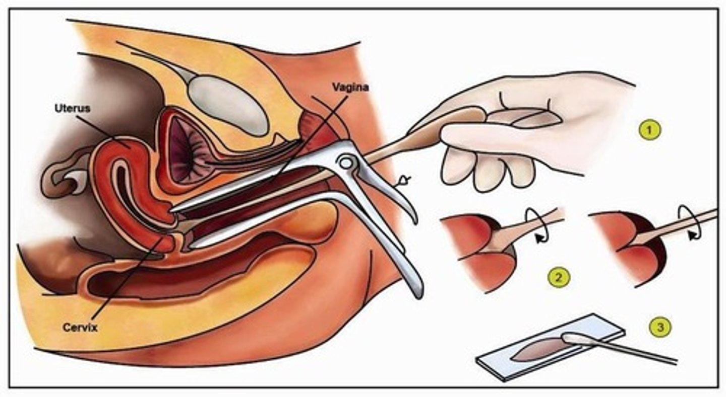 <p>Screening for cervical abnormalities and cancer.</p>