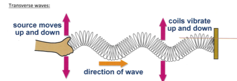 <p>Coils move up and down</p><p>direction of wave is at a right angle </p><p><strong>Transverse waves: electromagnetic radiation, water waves seismic S waves</strong></p>