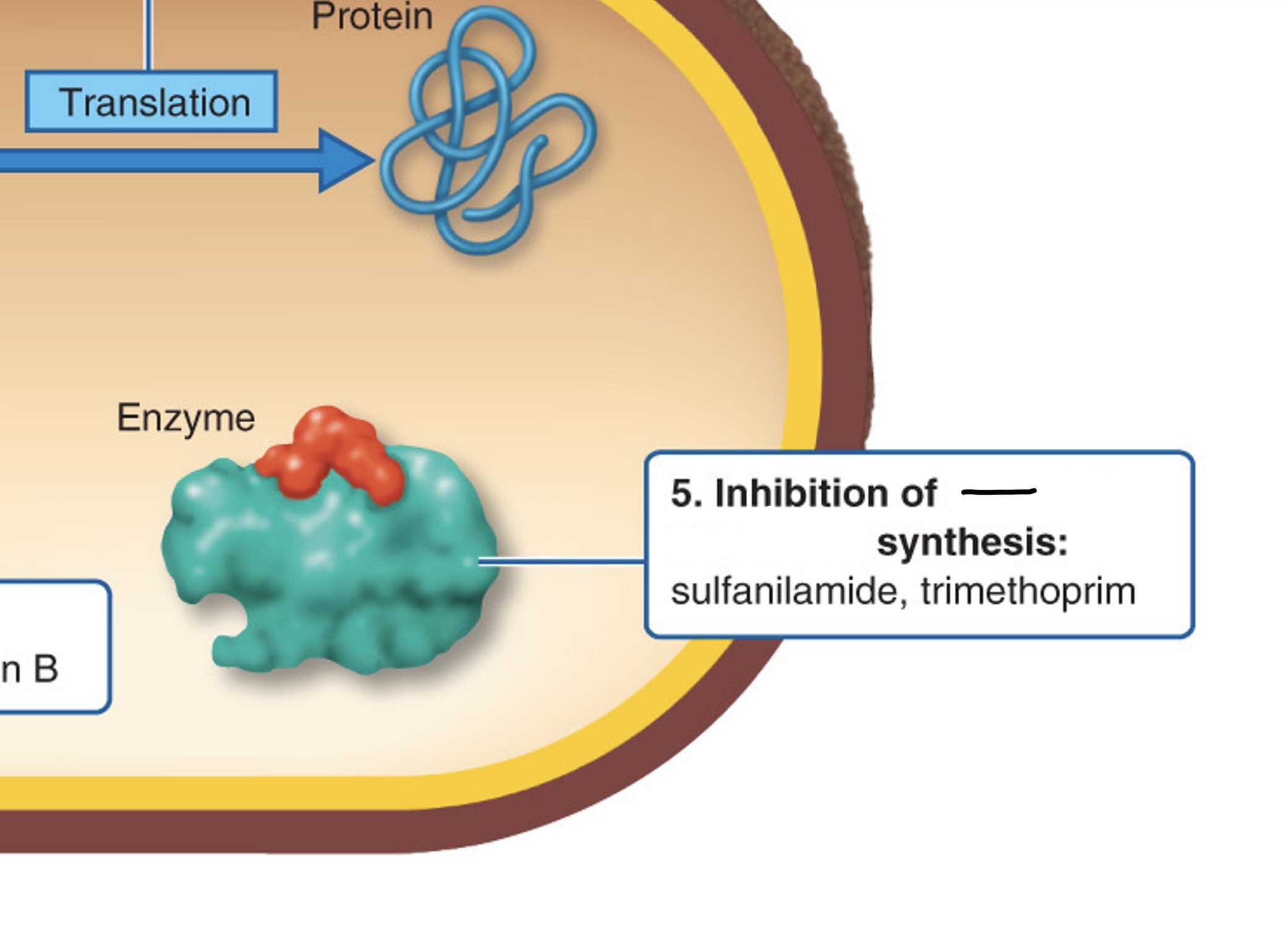 <p>What action site is this?</p>