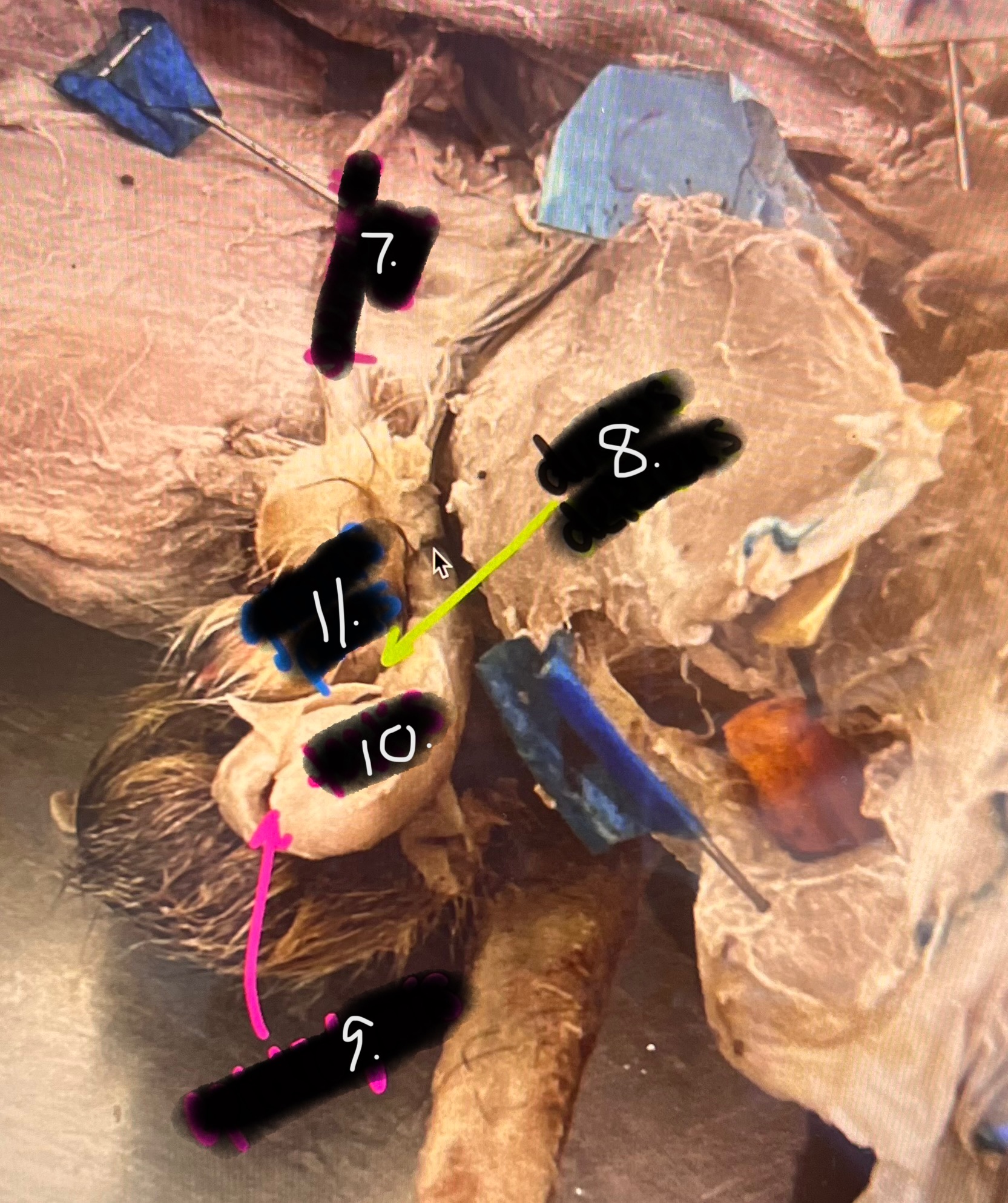 <p>8</p>