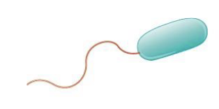 <p>what is this?</p>