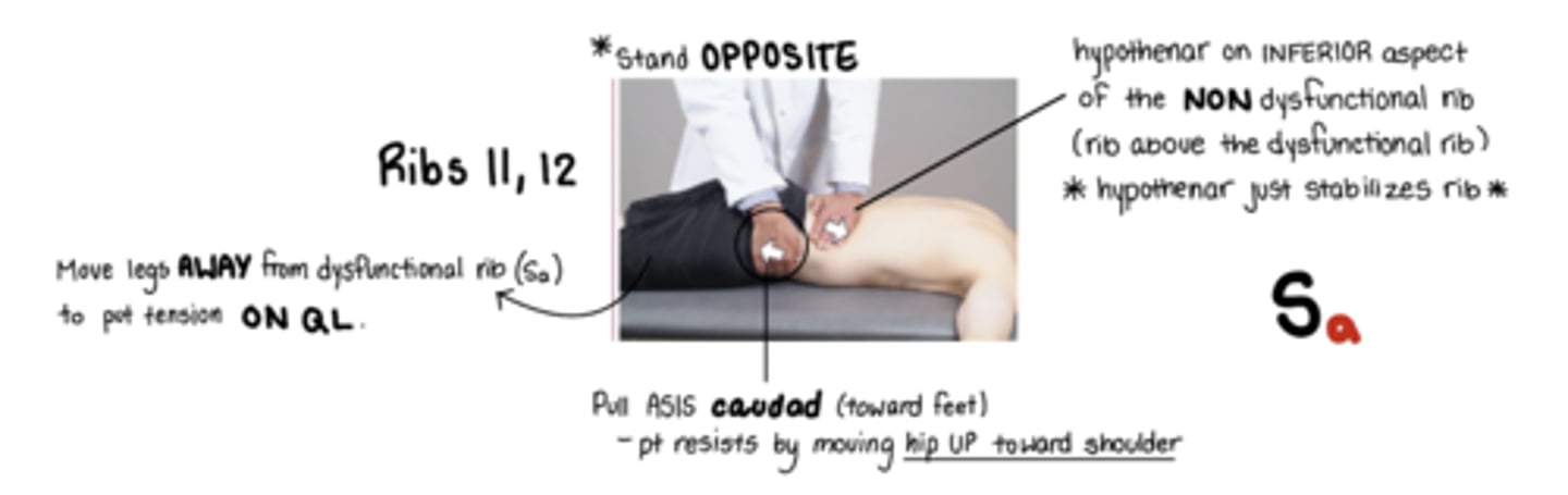 <p>Sa</p><p>*STAND OPPOSITE SIDE</p><p>active hand is the one on the ASIS - Pull ASIS caudad, pt resist by trying to pull their hip to shoulder</p><p>other hand stabiliizes rib:</p><p>hypothenar on INFERIOR aspect of the nondysfunctional rib (rib above the dysfunctional rib)</p><p>Sa = move legs to me</p><p>(ribs are stuck UP. QL does the work to push rib back down)</p>