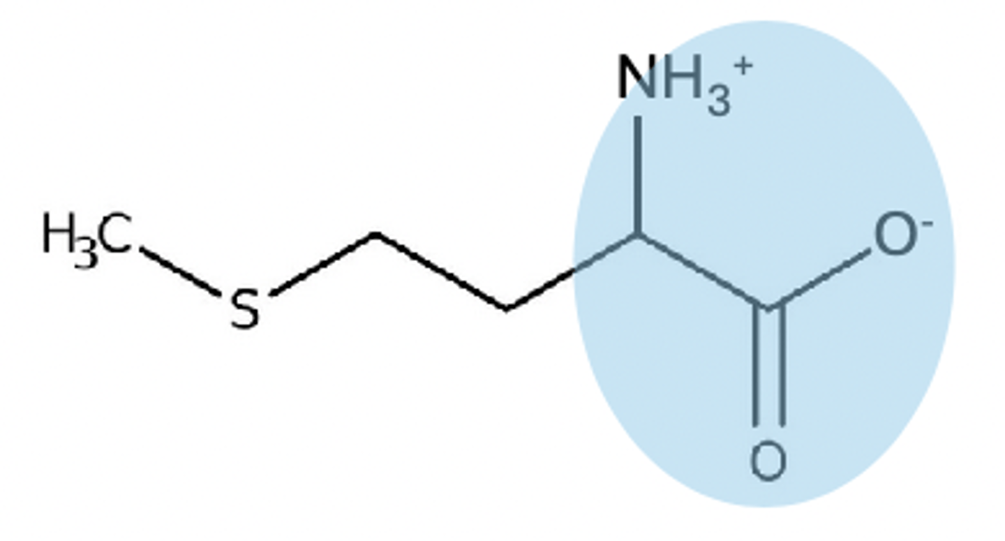<p>no charge on zwitterion</p>