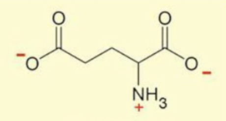 <p>same as gln but with an O<sup>-</sup> instead</p>