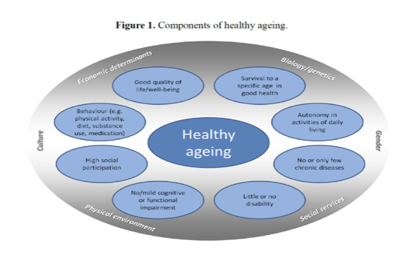 * Functioning and disability
* Physical activity
* Cognitive capability

\
* Prevalence of chronic diseases and multi-morbidity
* Social engagement and contribution

Measurable, quantifiable 