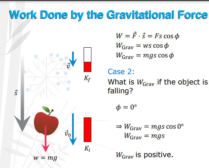 <p>What is W<sub>grav</sub> if the object is falling? </p>