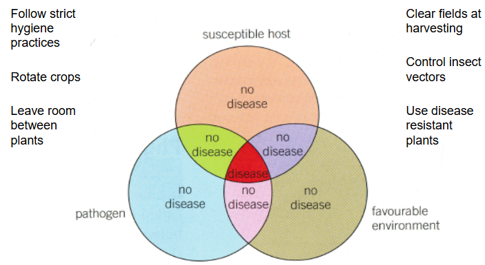 3 factors required for disease in plants (think fire triangle)