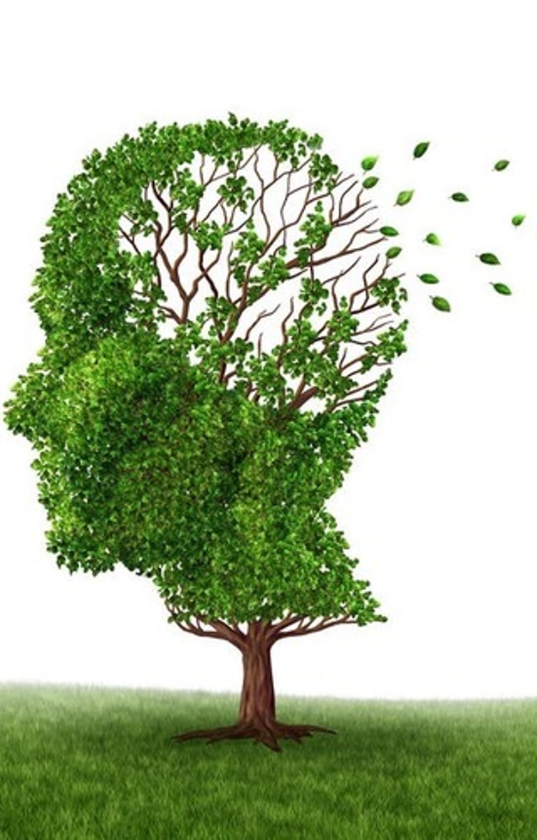 <p>decline in cognitive functioning that interferes with daily life, characterized by memory loss, impaired judgment, and difficulties in communication and reasoning, often seen in older adults.</p>