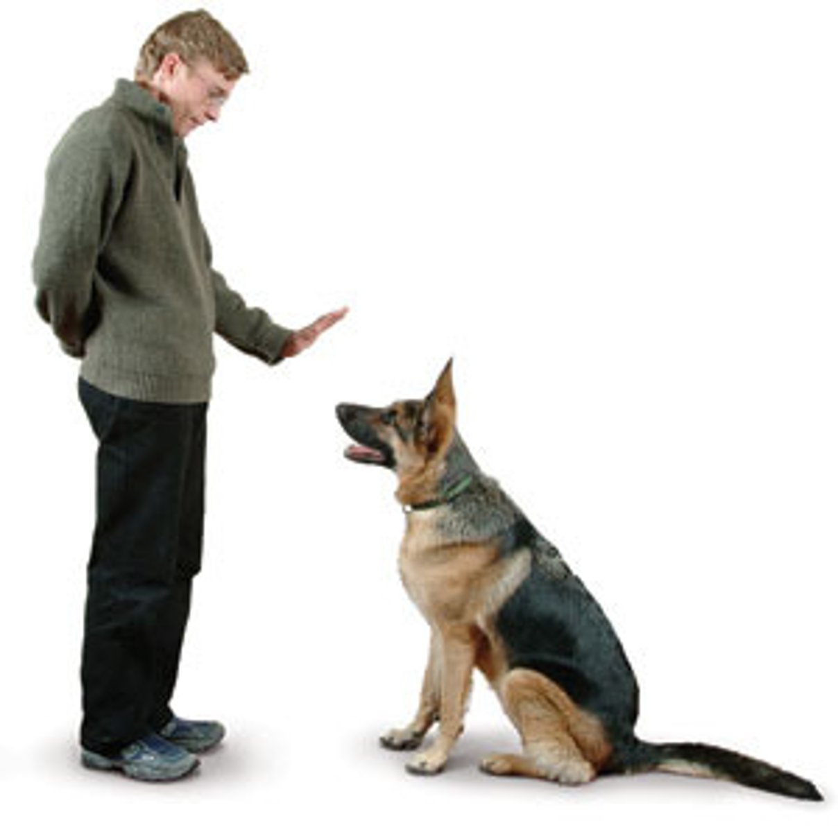 <p>behavior</p>