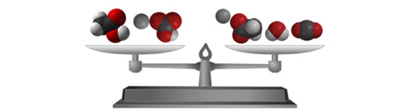 <p>they are simply rearranged to form new products. bonds between atoms are broken to make products without the loss of atoms.</p>
