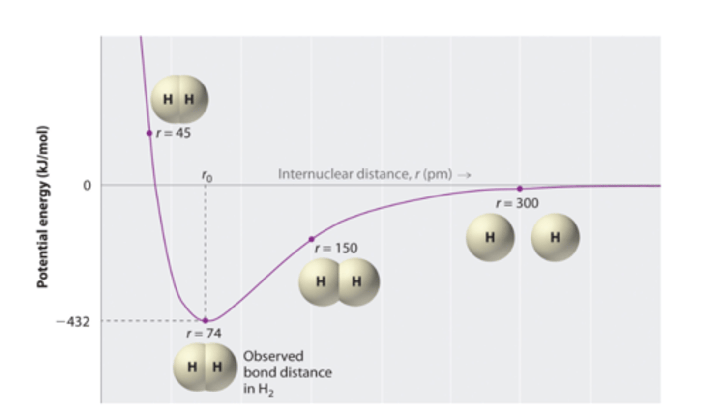 <p>Optimal length is lowest potential energy</p>