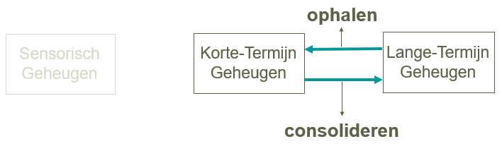 <p>KTG → LTG: consolidatie</p><p>LTG → KTG: ophalen/oproepen</p>