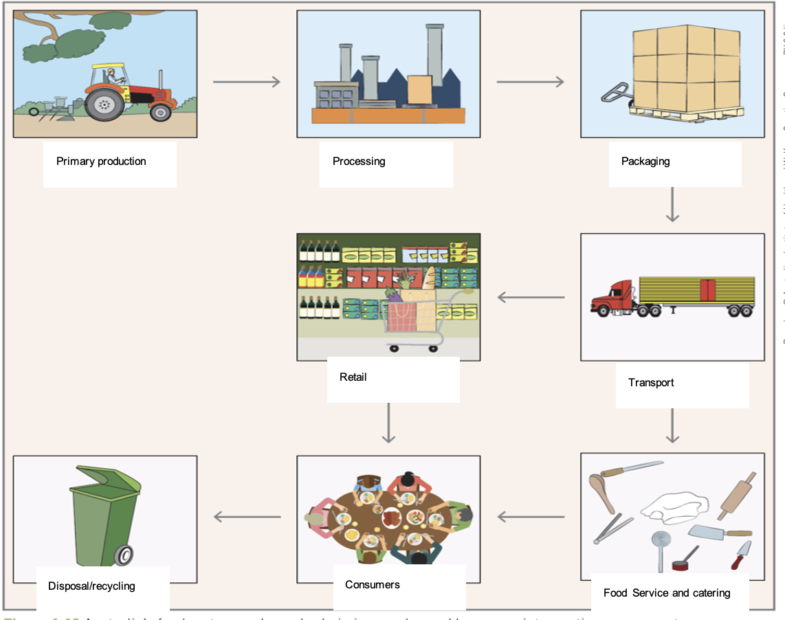 <ol><li><p>primary production </p></li><li><p>processing </p></li><li><p>pacakging </p></li><li><p>transport </p></li><li><p>retail </p></li><li><p>food service and catering </p></li><li><p>consumers </p></li><li><p>disposal/recyling </p></li></ol>