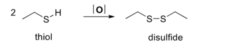 <ul><li><p>an H atom is lost from each of the -SH groups</p></li><li><p>product is disulfide</p></li><li><p>uses 2 thiols to produce product</p></li></ul>