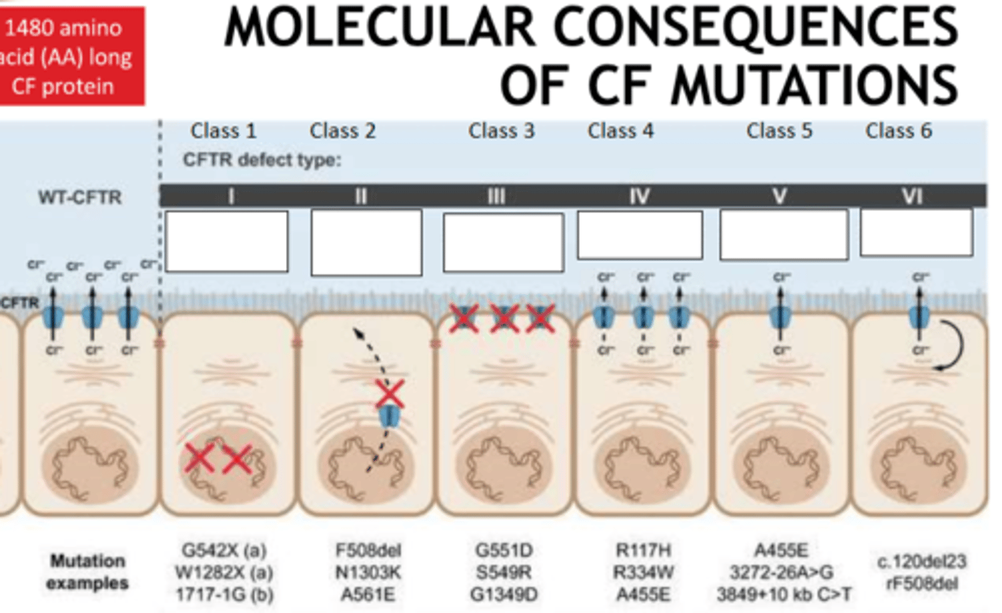 <p>Fill the blanks</p>