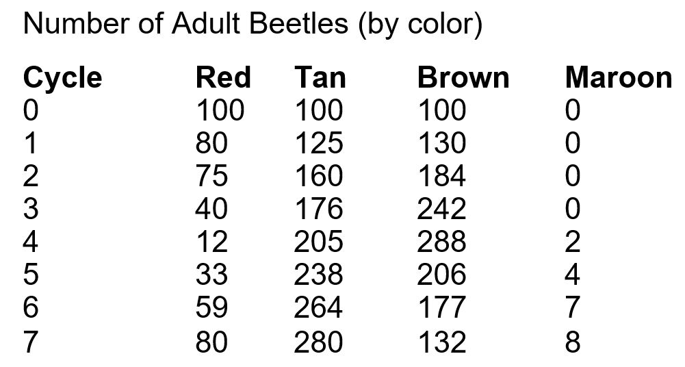 <p>Raphael runs a computer simulation of a population of beetles in a garden ecosystem. The simulation begins with 300 beetles, divided equally among red, tan, and brown variants, and with equal numbers of males and females. The simulation assumes that female beetles each lay 50 eggs in each reproduction cycle, and that individual beetles live for at most 2 reproductive cycles.</p><p>The table shows the numbers of each beetle variant over 7 reproduction cycles. Only adult beetles are counted.</p><p></p><p>Which conclusion about the simulated beetle population does the data support?</p><p>Responses</p><ul><li><p>Throughout the simulation, brown is the most advantageous color for the beetles.</p><p></p></li><li><p>Throughout the simulation, red is the least advantageous color for the beetles.</p><p></p></li><li><p>In additional reproductive cycles, the maroon variants would become more common.</p><p></p></li><li><p>The fitness of the beetle variants changed during the simulation.</p></li></ul>