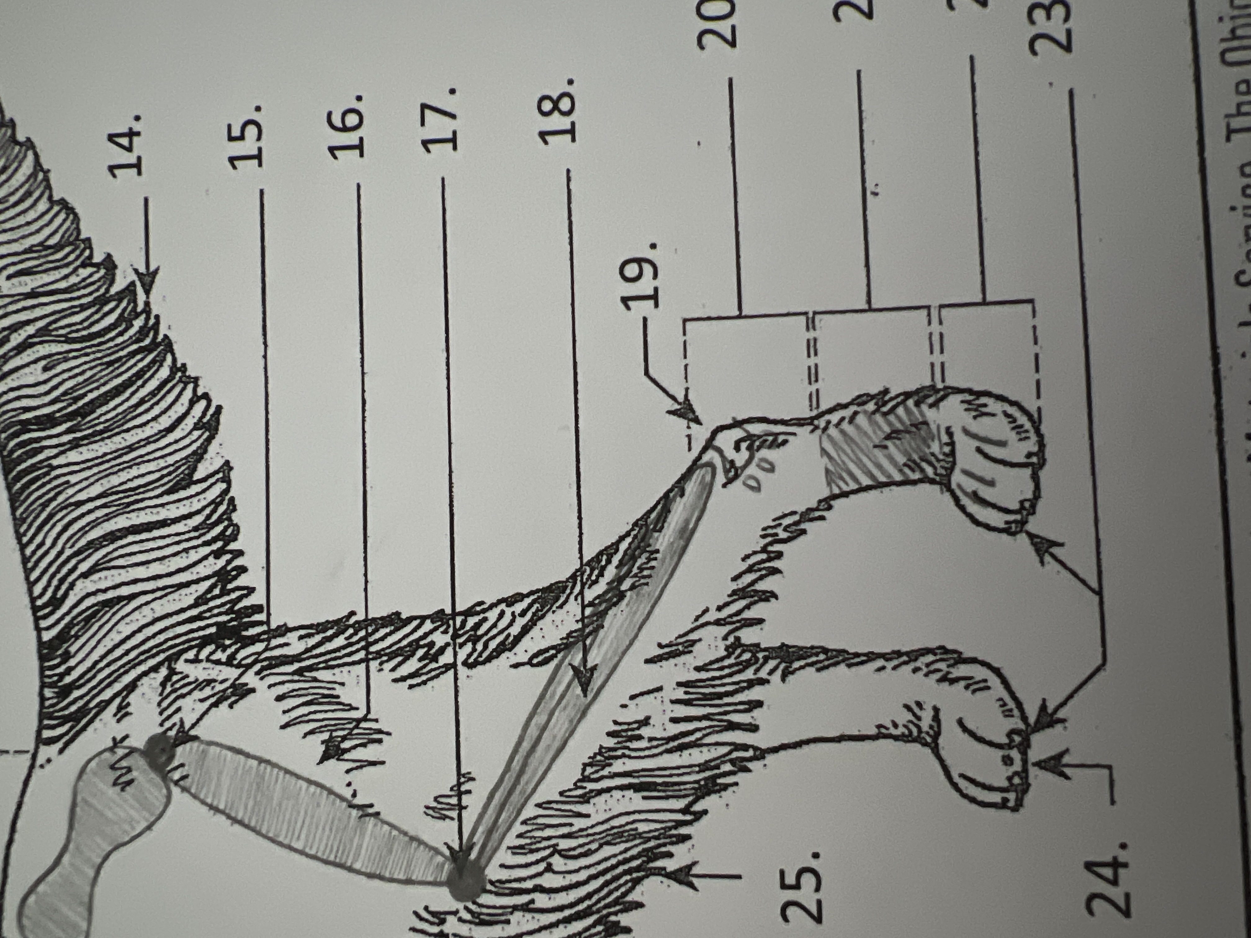 
19. \
