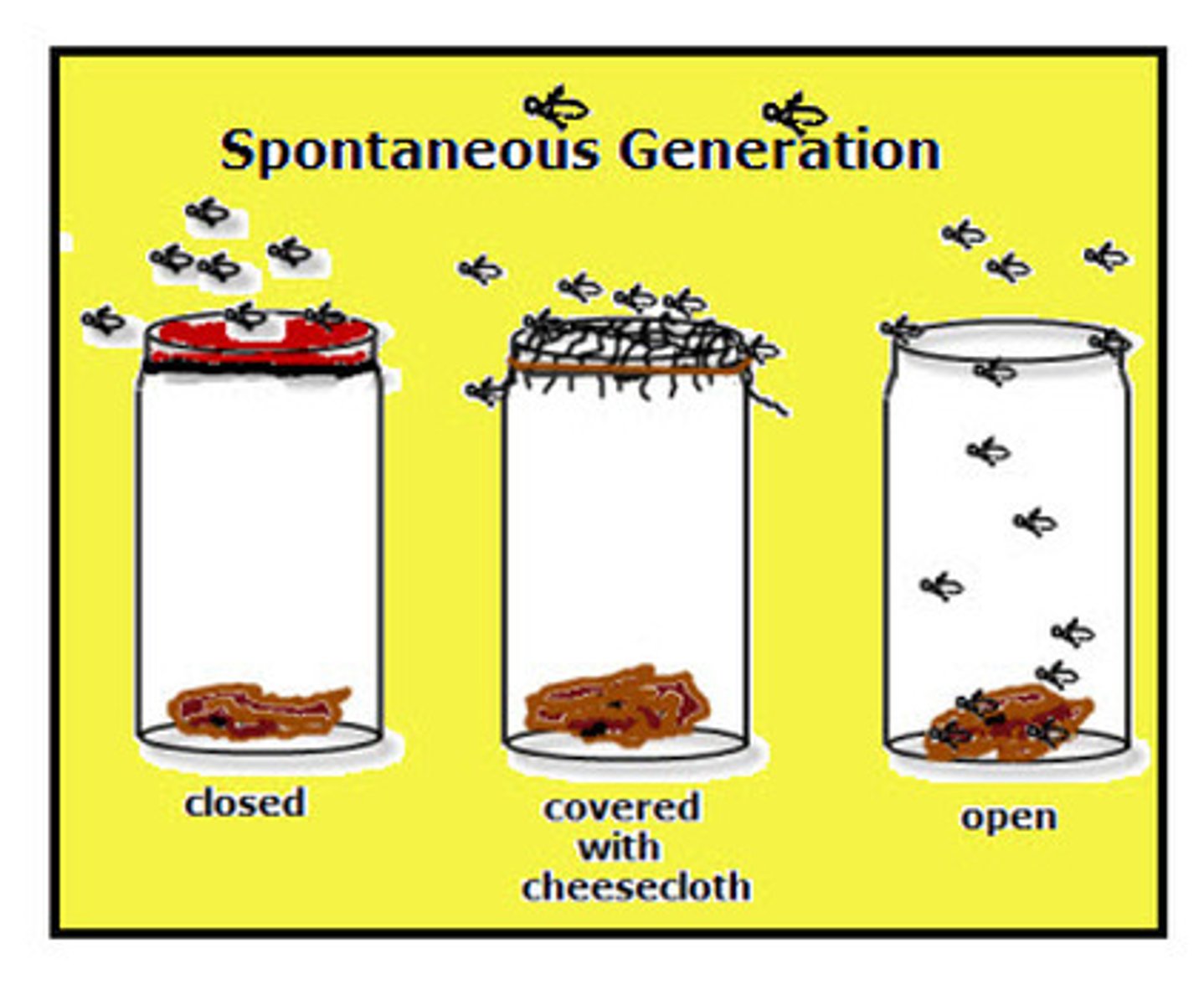 <p>The hypothesis that life arises from nonliving matter spontaneously given the right conditions</p>