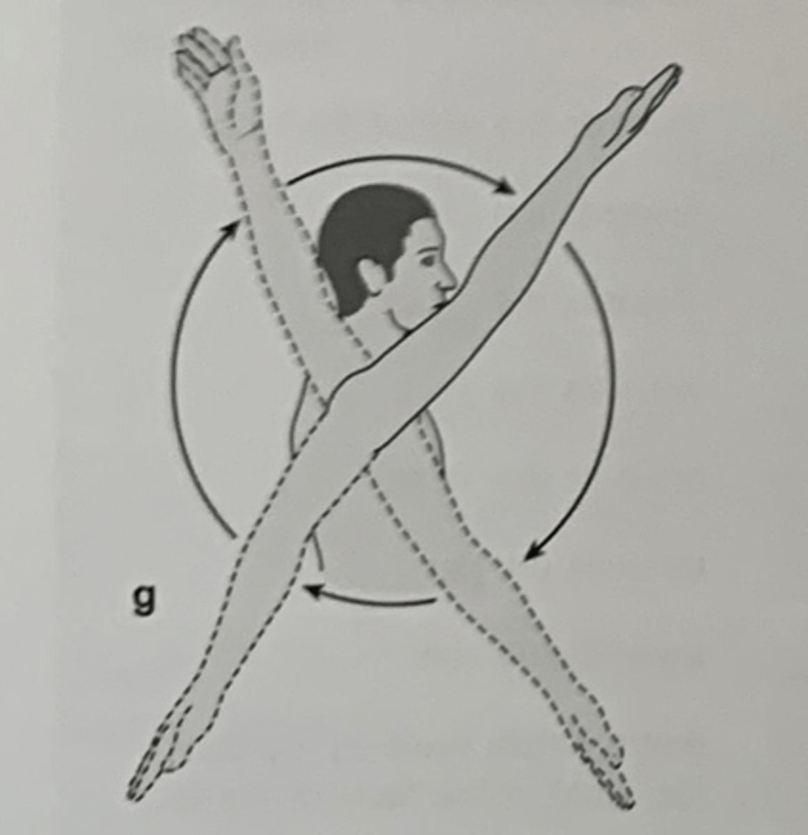 <p>Hvilken anatomisk bevægelse ses her?</p>