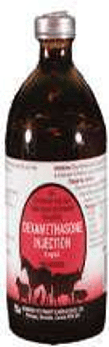 <p>They induce the synthesis of a specific isoenzyme (Ci-ALP), which can lead to steroid/vacuolar hepatopathy.</p>