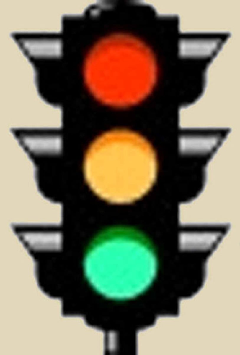 <p>de verkeerslichten</p>