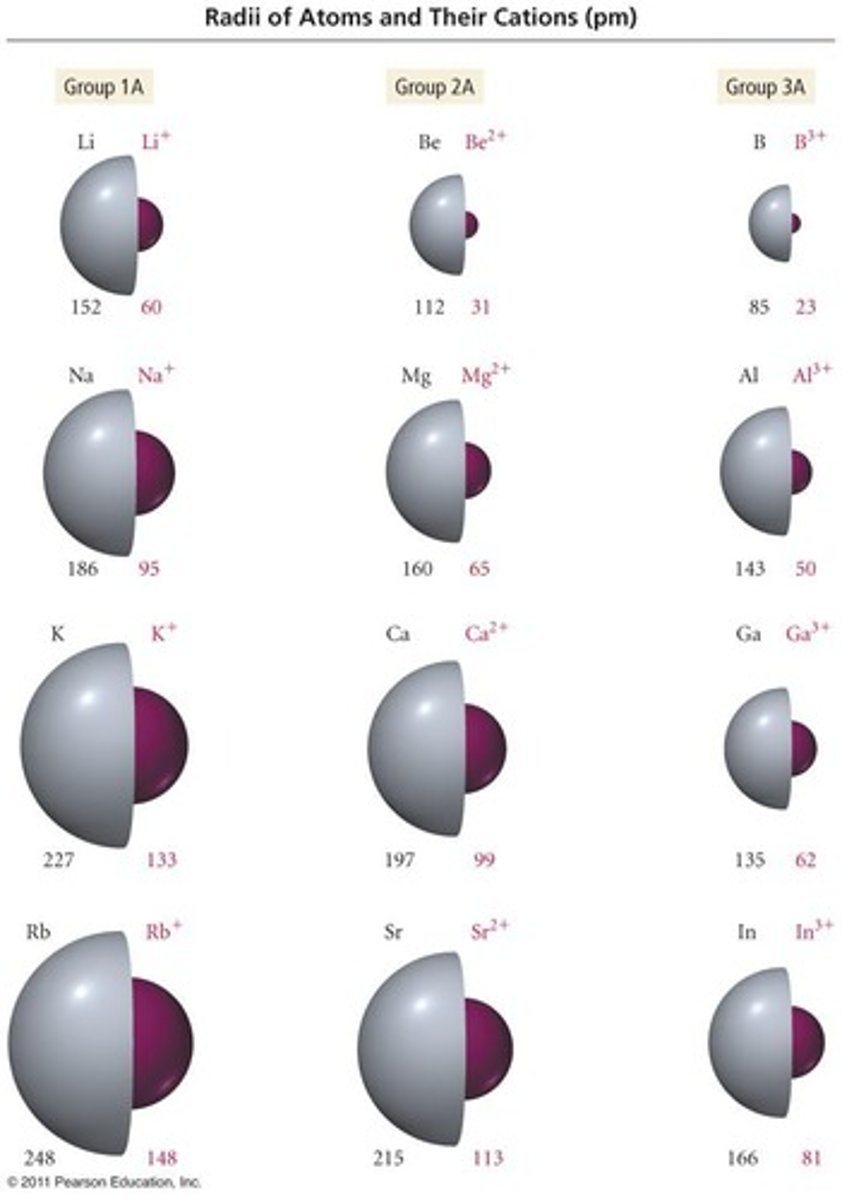 <p>Zn2+ has a charge of +2 because it loses two electrons to achieve a fully filled n=3 orbital.</p>