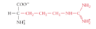 <p>What is the name of the amino acid?</p>
