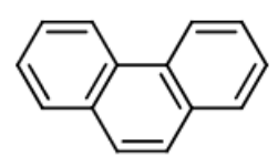 <p>Name this structure:</p>