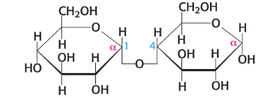 <p>what is this compound name?</p>