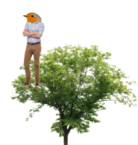 <p><strong>権</strong></p><p>Words:</p><p>権利　けんり　Right　</p><p>人権　じんけん　Human rights</p>