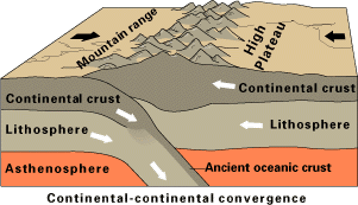 <p>When two continents converge, their similar densities make it difficult to force either of them to sink. This causes folding and reverse faults. An example is the Indian Plate slamming into the Eurasian Plate creating the Himalayan Mountains (tallest mountains).</p>